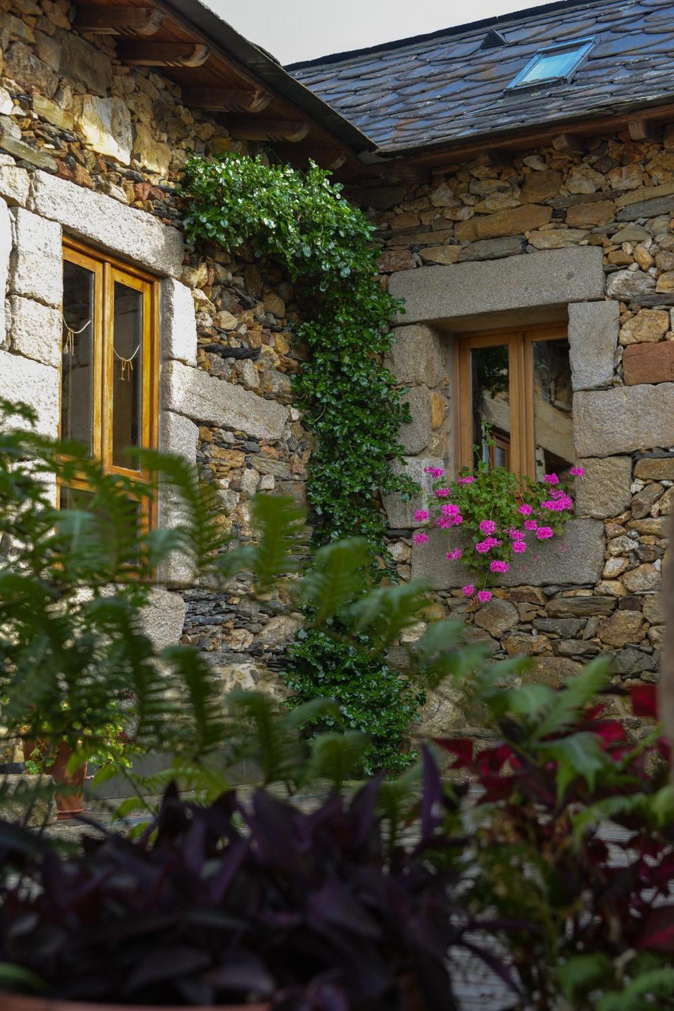 Casa Do Pinto Guest House Arouca Eksteriør bilde